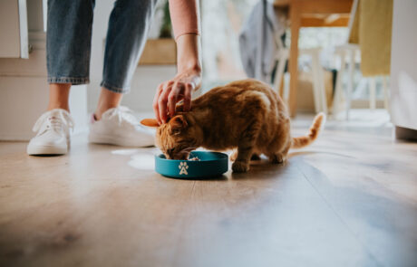 230801_CF_APPLAWS_FEEDING_CURIOSITY_000940