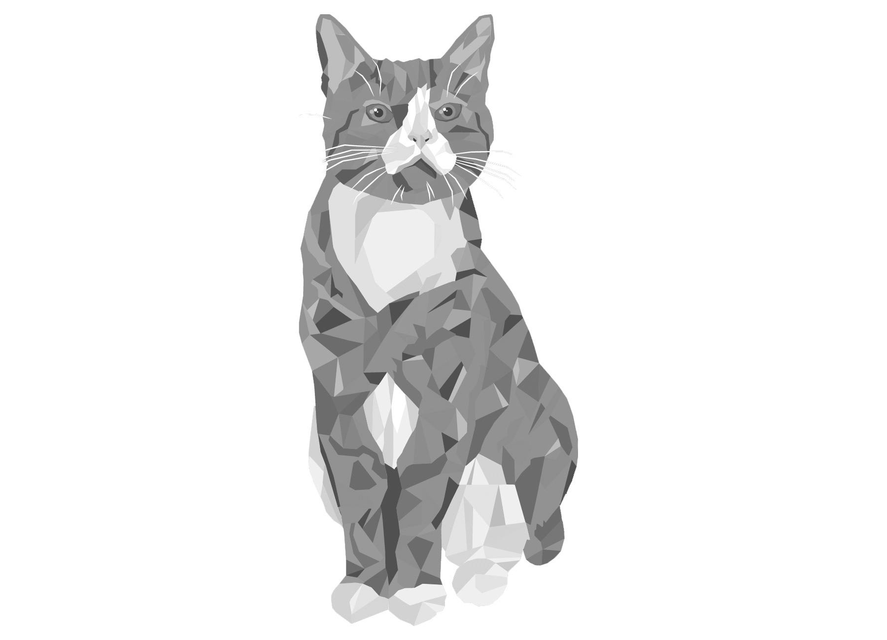 coming-soon-cat-2