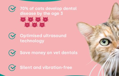 emmi-pet_CatShow_Harliboo_02