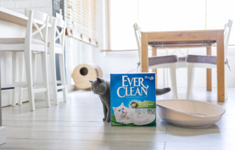 EverClean-70