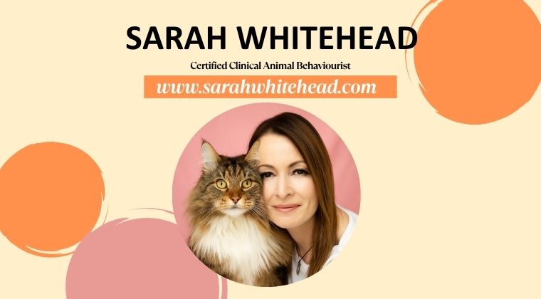 Sarah Whitehead