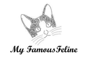 20250708 MFF logo PNG