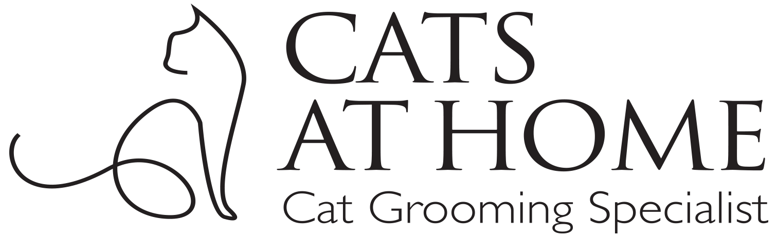 Cats At Home