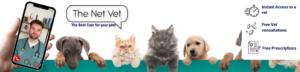 TNV Banner