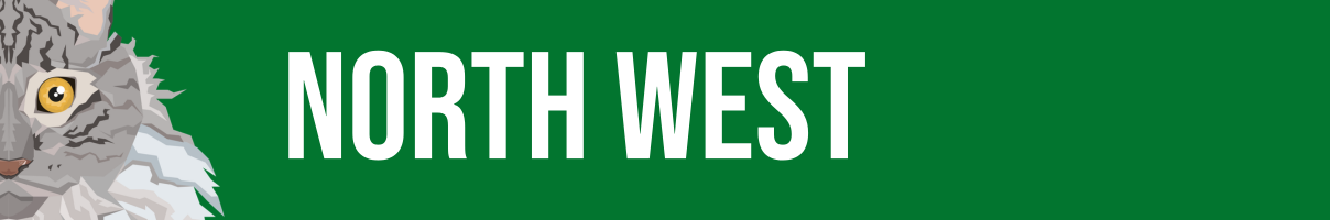 Web Titles Coming Soon