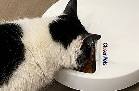 closer-pets-five-meal-automatic-battery-powered-pet-feeder-with-stainless-steel-bowl-inserts-c500-~0035368901027_06c_MP